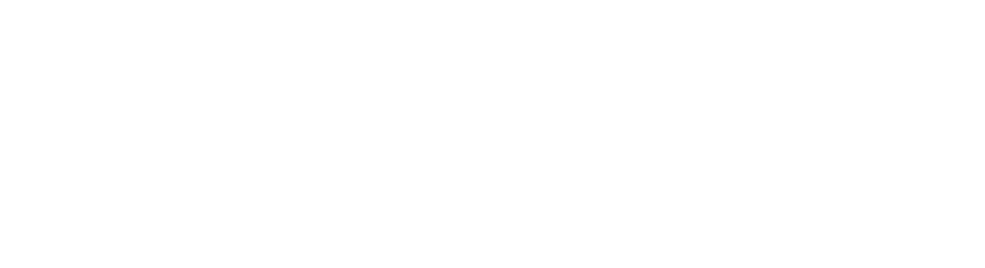 未来模因
